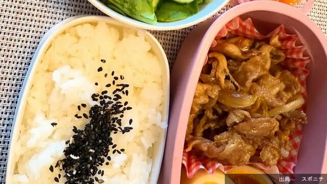 [朗報] 加護亜依の手作りお弁当